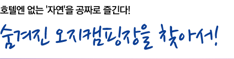 호텔엔 없는 ‘자연’을 공짜로 즐긴다! 숨겨진 오지캠핑장을 찾아서!