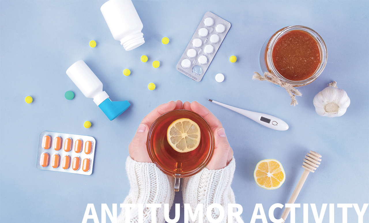 ANTITUMOR ACTIVITY